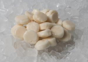 FROZEN BLANCHED SCALLOP MEAT